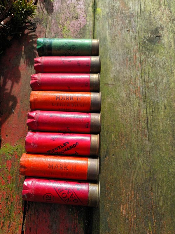 A row of Vintage Spent Shotgun Cartridges on a wooden table.