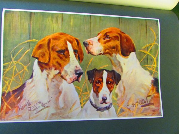A 'Sporting Pictures' Messrs E W Savory Ltd book with a painting of three dogs.